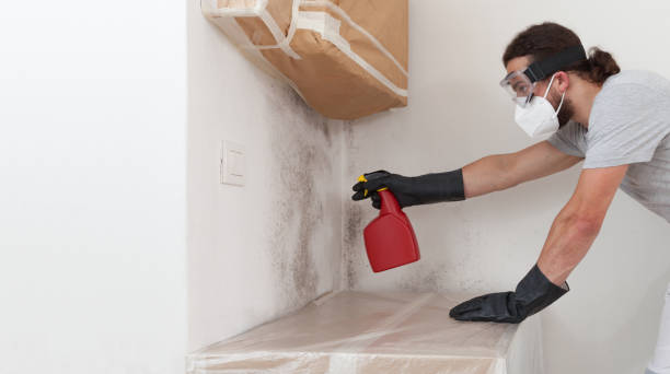 Professional Attic Mold Remediation technician working in Louisville, KY