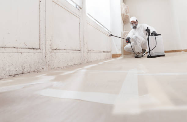 24/7 Emergency Attic Mold Remediation experts in Louisville, KY